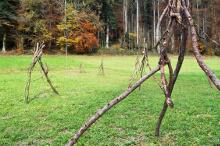 Sixteen Upside-Down Trees and Three Squares, landscape art by Martin Gut on Noseland, 2014