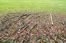 Sechzehn verkehrte Bäume und drei Vierecke, Landart von Martin Gut auf Noseland, 2014