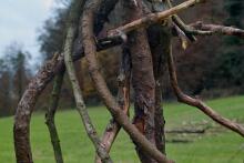 Sixteen Upside-Down Trees and Three Squares, landscape art by Martin Gut on Noseland, 2014