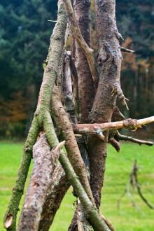 Sixteen Upside-Down Trees and Three Squares, landscape art by Martin Gut on Noseland, 2014