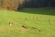 Sechzehn verkehrte Bäume und drei Vierecke, Landart von Martin Gut auf Noseland, 2014