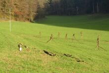 Sechzehn verkehrte Bäume und drei Vierecke, Landart von Martin Gut auf Noseland, 2014