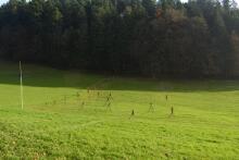 Sixteen Upside-Down Trees and Three Squares, landscape art by Martin Gut on Noseland, 2014