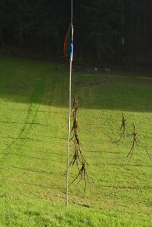 Sixteen Upside-Down Trees and Three Squares, landscape art by Martin Gut on Noseland, 2014