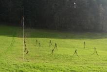 Sechzehn verkehrte Bäume und drei Vierecke, Landart von Martin Gut auf Noseland, 2014