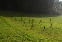 Sechzehn verkehrte Bäume und drei Vierecke, Landart von Martin Gut auf Noseland, 2014