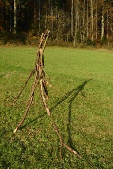 Sechzehn verkehrte Bäume und drei Vierecke, Landart von Martin Gut auf Noseland, 2014