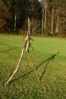 Sechzehn verkehrte Bäume und drei Vierecke, Landart von Martin Gut auf Noseland, 2014