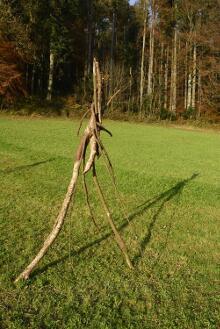 Sechzehn verkehrte Bäume und drei Vierecke, Landart von Martin Gut auf Noseland, 2014