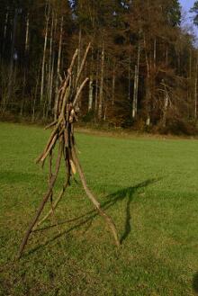 Sechzehn verkehrte Bäume und drei Vierecke, Landart von Martin Gut auf Noseland, 2014