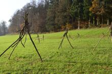 Sixteen Upside-Down Trees and Three Squares, landscape art by Martin Gut on Noseland, 2014