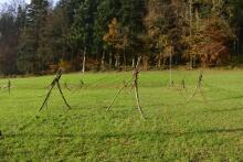 Sechzehn verkehrte Bäume und drei Vierecke, Landart von Martin Gut auf Noseland, 2014