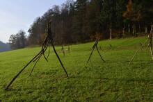 Sechzehn verkehrte Bäume und drei Vierecke, Landart von Martin Gut auf Noseland, 2014