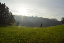 Sechzehn verkehrte Bäume und drei Vierecke, Landart von Martin Gut auf Noseland, 2014