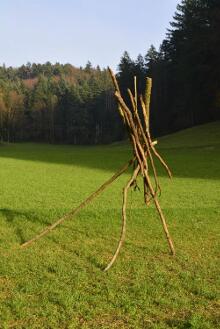 Sechzehn verkehrte Bäume und drei Vierecke, Landart von Martin Gut auf Noseland, 2014