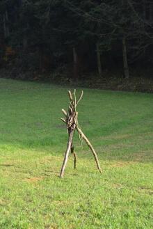 Sechzehn verkehrte Bäume und drei Vierecke, Landart von Martin Gut auf Noseland, 2014