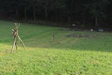 Sixteen Upside-Down Trees and Three Squares, landscape art by Martin Gut on Noseland, 2014