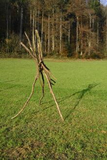 Sechzehn verkehrte Bäume und drei Vierecke, Landart von Martin Gut auf Noseland, 2014