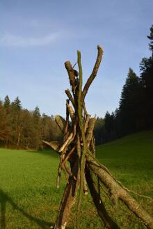 Sechzehn verkehrte Bäume und drei Vierecke, Landart von Martin Gut auf Noseland, 2014