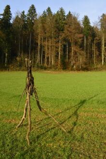 Sixteen Upside-Down Trees and Three Squares, landscape art by Martin Gut on Noseland, 2014