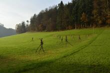 Sechzehn verkehrte Bäume und drei Vierecke, Landart von Martin Gut auf Noseland, 2014