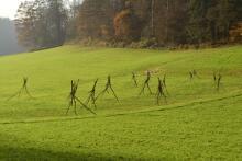 Sixteen Upside-Down Trees and Three Squares, landscape art by Martin Gut on Noseland, 2014