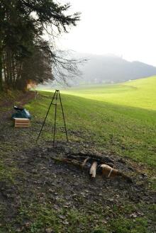 Sixteen Upside-Down Trees and Three Squares, landscape art by Martin Gut on Noseland, 2014