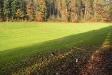 Sechzehn verkehrte Bäume und drei Vierecke, Landart von Martin Gut auf Noseland, 2014