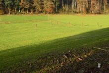 Sixteen Upside-Down Trees and Three Squares, landscape art by Martin Gut on Noseland, 2014