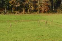 Sechzehn verkehrte Bäume und drei Vierecke, Landart von Martin Gut auf Noseland, 2014